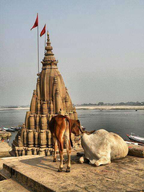 దేవాలయాలకు ఎందుకు వెళ్ళాలి ?