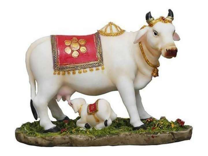 ఇంట్లో కామధేను విగ్రహాన్ని ఉంచడం ప్రాముఖ్యత, వాస్తు ఏం చెబుతుంది..