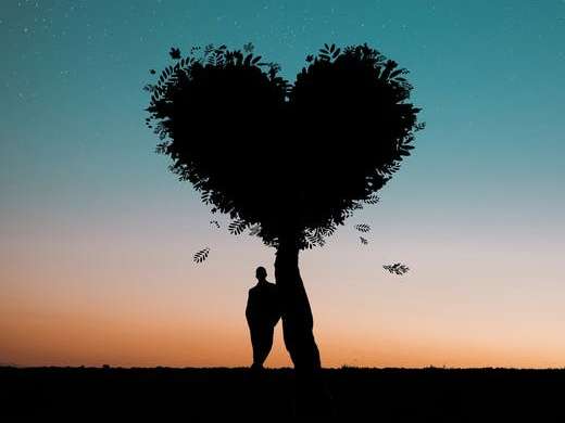 కోల్పోయిన కల