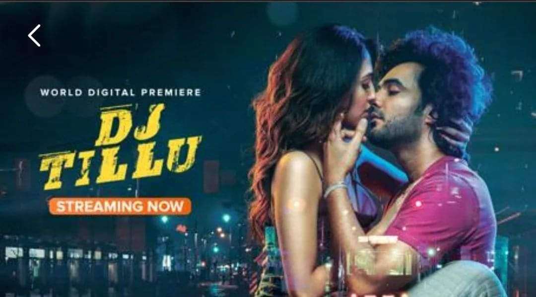 బాలీవుడ్ లోకి DJ టిల్లు..? అట్లుంటది మనతోని..!!