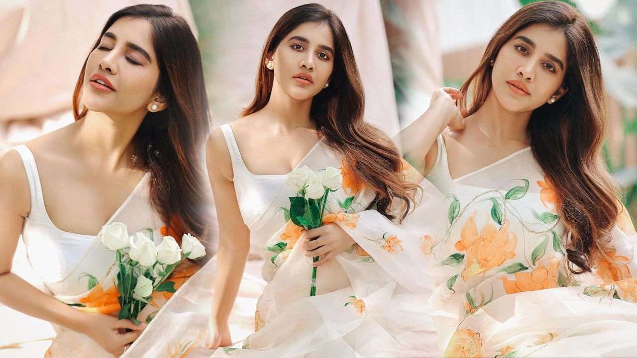 Nabha Natesh Hot Photos: కుర్రకారు మది దోస్తున్న నభా నటేష్ లేటెస్ట్ హాట్ పిక్స్.. 