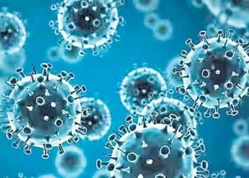 Influenza Virus: తెలంగాణాలో దూసుకొస్తున్న మరో వైరస్… కీలక సూచనలు చేసిన మంత్రి హరీష్ రావు 