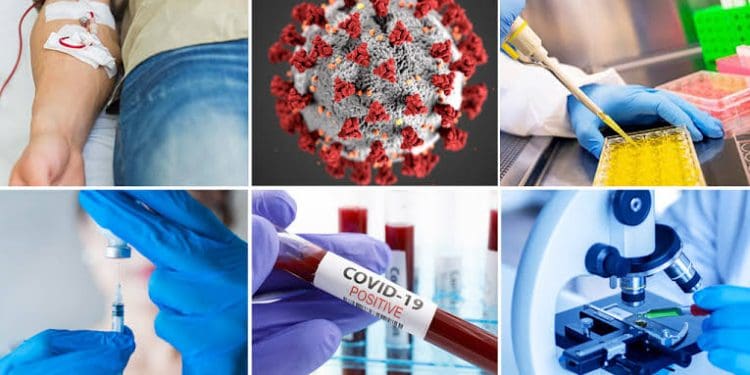 Covid 19 : దేశంలో మళ్ళీ విజృంభిస్తున్న కోవిడ్.. ఈ 6 రాష్ట్రాలకు కేంద్రం హై అలర్ట్..