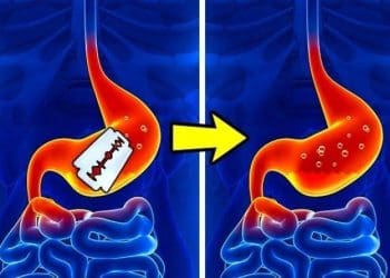 Interesting Facts : మానవుని పొట్ట భాగం “రేజర్ బ్లేడ్స్” ని సైతం కరిగించగలదని మీకు తెలుసా..!?