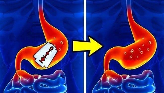 Interesting Facts : మానవుని పొట్ట భాగం “రేజర్ బ్లేడ్స్” ని సైతం కరిగించగలదని మీకు తెలుసా..!?