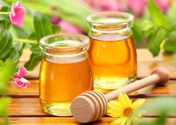 Benefits of Honey : స్వచ్ఛమైన తేనె.. దాని ఉపయోగాలు..
