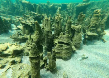 Interesting Facts : 3 వేల సంవత్సరాల క్రితం ఆలయంలో ఎన్నో వింతలు, విశేషాలు..