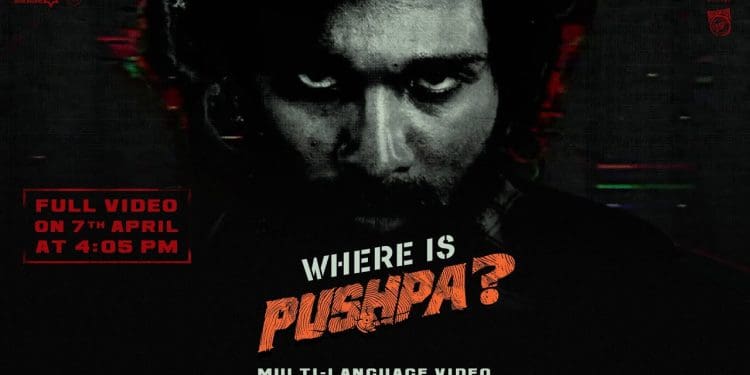 Allu Arjun : పుష్ప ఎక్కడ.. బన్నీ బర్త్ డేకి భారీగా ప్లాన్ చేసిన మేకర్స్..