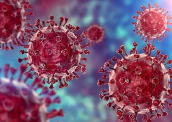 Covid 19 Cases : మళ్ళీ విజృంభించిన కరోనా.. పెరుగుతున్న మరణాలు..