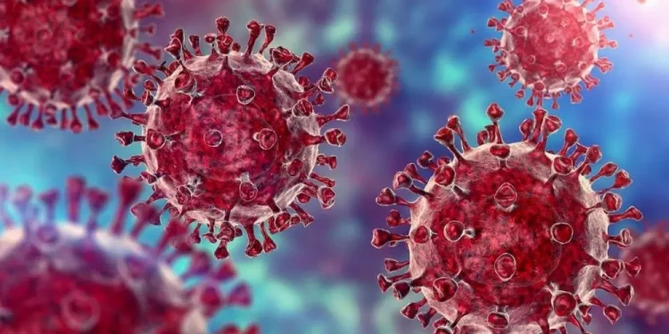 Covid 19 Cases : మళ్ళీ విజృంభించిన కరోనా.. పెరుగుతున్న మరణాలు..