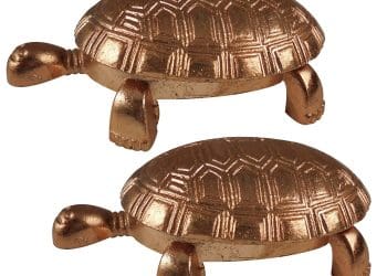 Vasthu Tips : తాబేలు ప్రతిమను మీ ఇంట్లో పెట్టుకుంటే వచ్చే సిరి సంపదలకు కొదవేలేదు..