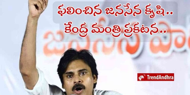Janasena : కేంద్ర మంత్రి ప్రకటన..జనసేన విజయం..