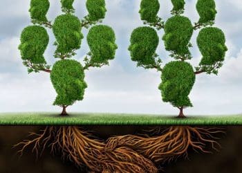 Interesting Facts : చెట్లు కూడా మాట్లాడుకుంటాయట.. పిల్ల మొక్క కోసం తల్లి ఏం చేస్తుందో తెలుసా..!?