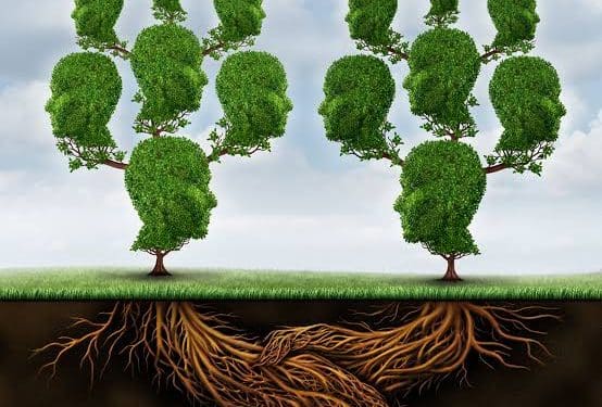 Interesting Facts : చెట్లు కూడా మాట్లాడుకుంటాయట.. పిల్ల మొక్క కోసం తల్లి ఏం చేస్తుందో తెలుసా..!?