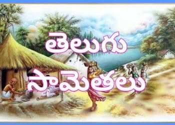 Telugu Samethalu : “పండగ పూట పాత మొగుడేనా..” ఈ సామెత సరైనదేనా?