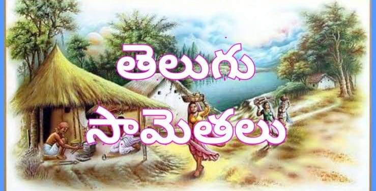 Telugu Samethalu : “పండగ పూట పాత మొగుడేనా..” ఈ సామెత సరైనదేనా?