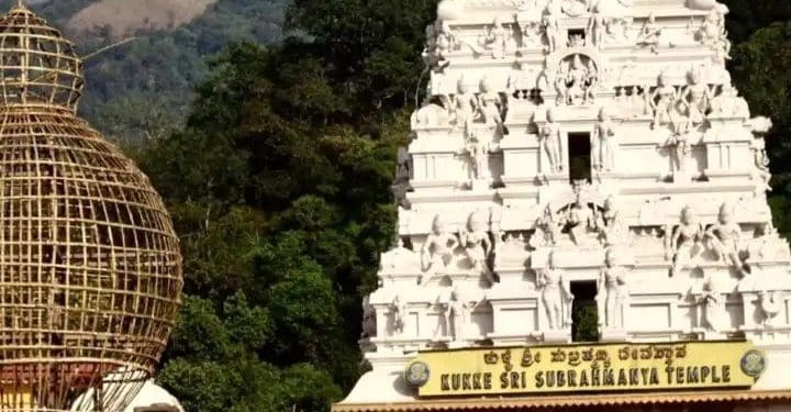 Temple : నాగదోషంతో బాధపడుతున్నారా..అయితే ఒక్కసారి ఈ ఆలయాన్నీ దర్శించుకోండి..
