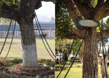 Interesting Fact about BanyanTree :125 సంవత్సరాలుగా శిక్ష అనుభవిస్తున్న చెట్టు.. ఎక్కడో తెలుసా..!?