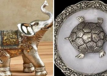 Vastu Tips : ఈ ఆరు వస్తువులు ఇంట్లో ఉంటే.. మీకు తిరుగేలేదు..!