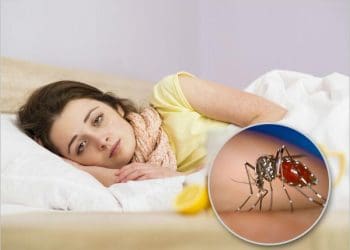 Dengue Day Theme 2023 : జాతీయ డెంగ్యూ దినోత్సవం..”డెంగ్యూ ని మనమందరం కలిసి తరిమికొడదాం”..!