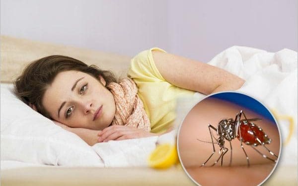 Dengue Day Theme 2023 : జాతీయ డెంగ్యూ దినోత్సవం..”డెంగ్యూ ని మనమందరం కలిసి తరిమికొడదాం”..!