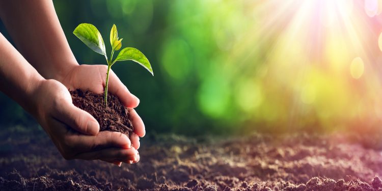 Nature : ప్రకృతి తన ప్రకోపాన్ని చూపించబోతుందా..!?