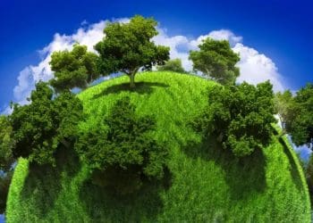 Amazing News : ఒక్క చెట్టు కూడా లేని దేశాన్ని మీరెప్పుడైనా చూసారా..!