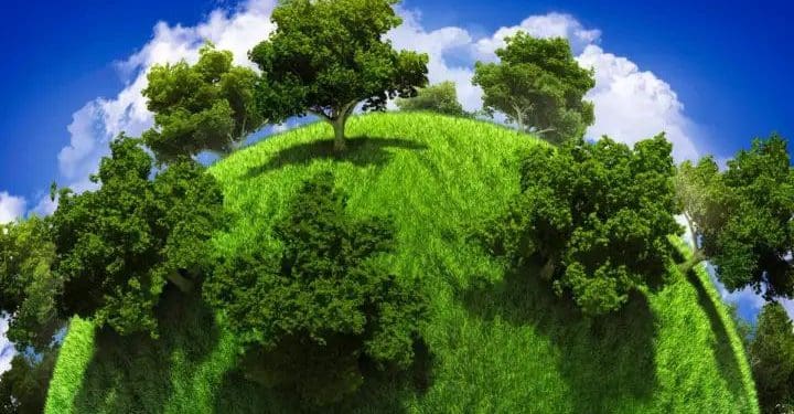 Amazing News : ఒక్క చెట్టు కూడా లేని దేశాన్ని మీరెప్పుడైనా చూసారా..!