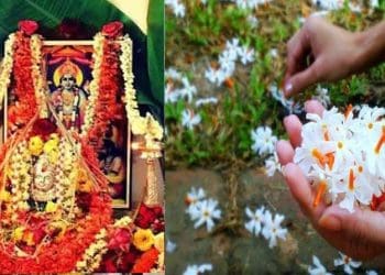 Pooja with Flowers : పక్కింటి వారి చెట్టు పూలతో దేవుడికి పూజ చేస్తున్నారా..!?