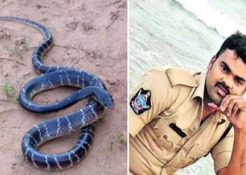 Pawan Kalyan : పాముకాటుతో కానిస్టేబుల్ మృతి చెందడం బాధాకరం : పవన్ కళ్యాణ్