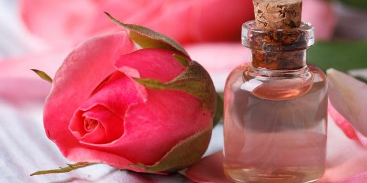 Rose Water Face Mist : ఈ ఒక్క పేస్ట్ చాలు..మీ మొహం మీద మచ్చలు,మొటిమలు పోవడానికి..!