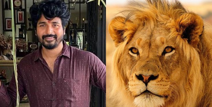 Siva Karthikeyan : సింహాన్ని దత్తత తీసుకున్న శివ కార్తికేయన్.. ఎందుకంటే..!?