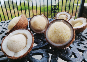 Sprouted Coconut : కొబ్బరికాయ లోని పువ్వు వల్ల ఇన్ని లాభాలా..!