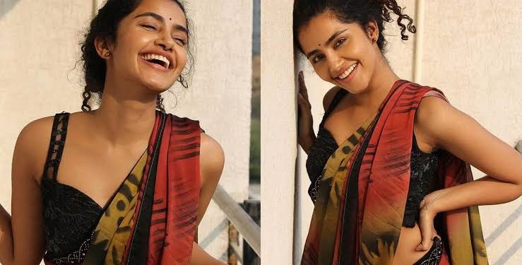 Anupama Parameswaran : మరో క్రేజీ ప్రాజెక్ట్ లో అనుపమ..