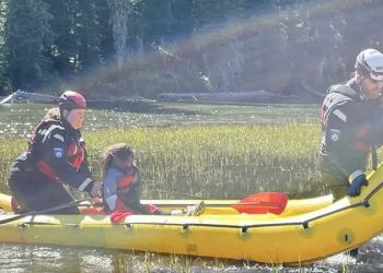 Brave Girl : ధైర్యవంతురాలైన అమ్మాయి.. రాత్రంతా అడవిలో ఒంటరిగా..!