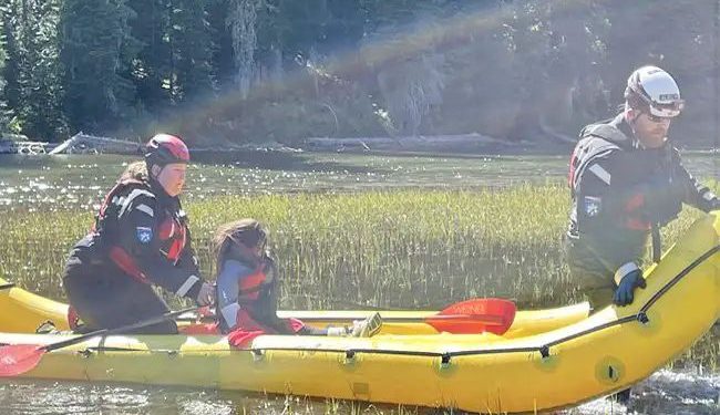 Brave Girl : ధైర్యవంతురాలైన అమ్మాయి.. రాత్రంతా అడవిలో ఒంటరిగా..!