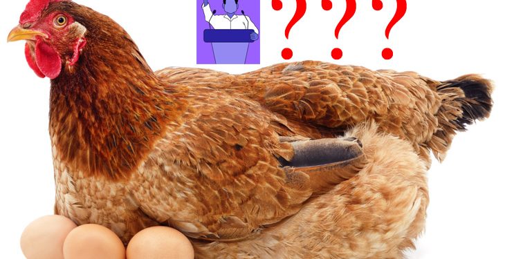 Hen : కోడి ముందా..గుడ్డు ముందా.. ఇదిగో సమాధానం..