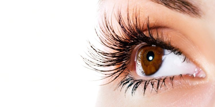 Eyes : సర్వేంద్రియానం నయనం ప్రధానం.. మీ కళ్ళను ఇలా సంరక్షించుకోండి..