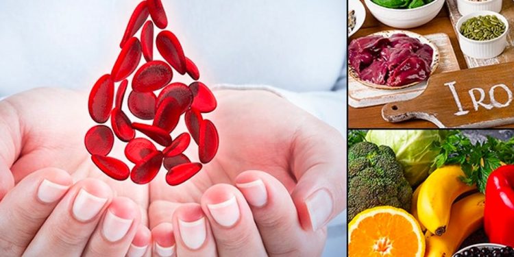 Increase Hemoglobin Food : రక్తంలో హిమోగ్లోబిన్ తగ్గితే జరిగేది ఇదే..