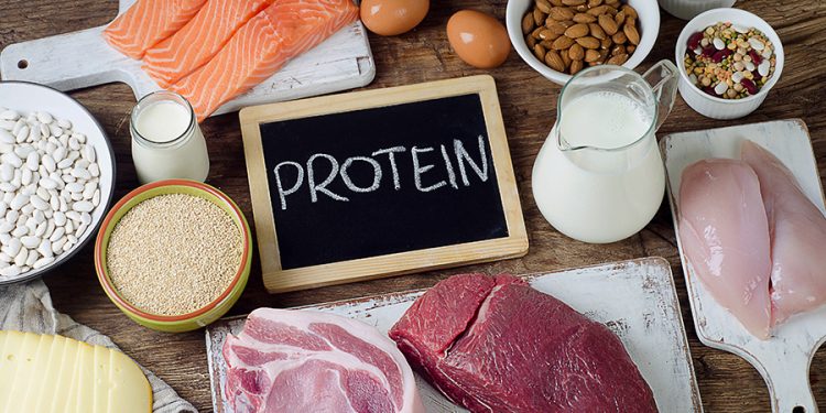 Proteins : శరీరానికి ప్రోటీన్స్ ఎంత అవసరమో మీకు తెలుసా..