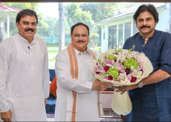 Pawan Kalyan with J P Nadda : జె.పి.నడ్డాతో, పవన్ కళ్యాణ్ భేటికి అసలు కారణం ఇదే..