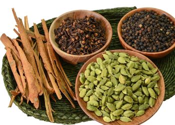 Monsoon Food : వర్షాకాలంలో రోగనిరోధక శక్తి పెంచే ఆహారం..