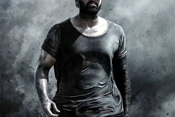 Salaar Teaser : డార్లింగ్ ఫ్యాన్స్ రెడీగా ఉండండి.. సలార్ టీజర్ వచ్చేస్తుంది..