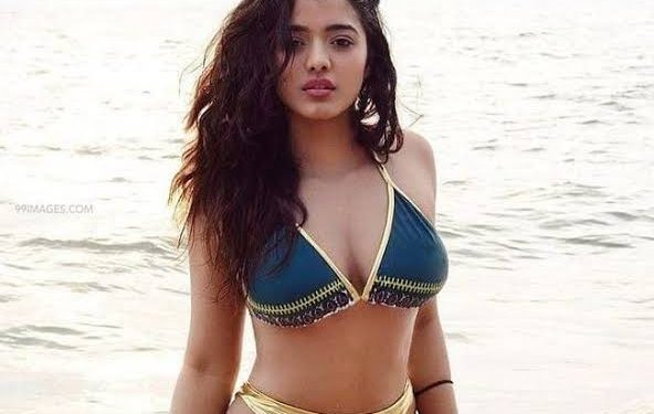 Ketika Sharma Hot Pics : కుర్రాళ్లను కవ్విస్తున్న కేతిక..
