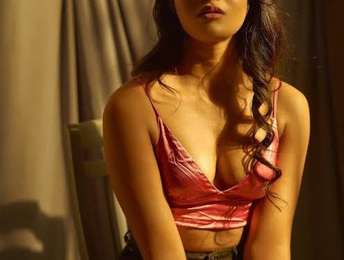 Dimple Hayathi Hot Pics : డింపుల్ హయాతి అందాల జోరు..
