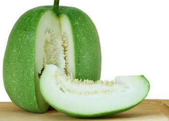 Gray Pumpkin : బూడిద గుమ్మడికాయ తింటే.. ఇన్ని ప్రయోజనాలా..!