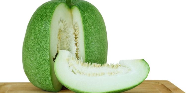 Gray Pumpkin : బూడిద గుమ్మడికాయ తింటే.. ఇన్ని ప్రయోజనాలా..!