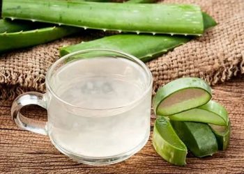 Aloe Vera : అలోవెరాతో అందాన్ని పెంచుకోండిలా..