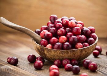 Cranberry : క్రాన్బెర్రీ తో వ్యాధులకు చెక్ పెట్టండిలా..