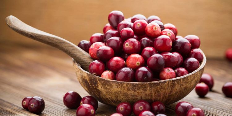 Cranberry : క్రాన్బెర్రీ తో వ్యాధులకు చెక్ పెట్టండిలా..